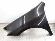 Kotflügel vorne links RENAULT LAGUNA Coupe (DT0/1) 3.0 dCi (DT03)