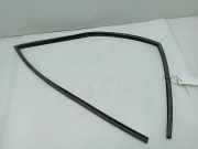 Türgummi rechts vorne Jaguar XJ (NAW, NBW)