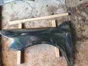 Kotflügel vorne links