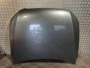 Motorhaube AUDI Q5 (8R) 2.0 TDI quattro 8R0823029H