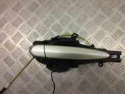 Türgriff links BMW X3 (F25) 7331740