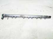 Kraftstoffzuführung BMW 5 Gran Turismo (F07) 530 d 0281002948 0281002949