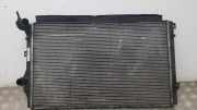 Kühlkörper VW TOURAN (1T1, 1T2) 1.9 TDI 1K0121251AT