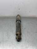 Stoßdämpfer hinten links NISSAN PATHFINDER III (R51) 2.5 dCi 4WD 345056