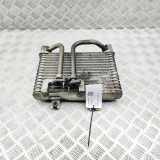 Ölkühler NISSAN GT-R (R35) V6 21305-JF00B