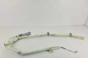 Airbag Dach rechts BMW X6 (E71, E72) 85697991209