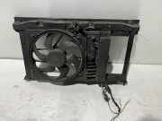 Elektrolüfter Peugeot 307 () 9650510980