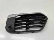 Kühlergrill oben BMW X1 (F48) 7354776