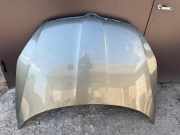 Motorhaube Skoda Roomster (5J)