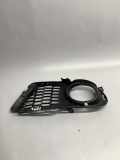 Gitter Grill vorne links BMW 3 Cabrio (E93) 335 i 8038935