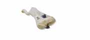 Fensterwaschtank RENAULT MEGANE IV (B9A/M_) 1.5 dCi 90 (B9A1) 289102699R