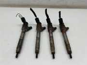 Einspritzdüse CITROËN BERLINGO Furgon (B9) 1.6 HDi 110 9828959880