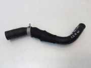 Schlauch Kühlung HYUNDAI IONIQ (AE) 1.6 GDI Hybrid 25450G2600
