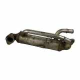 Abgaskühler Ford Galaxy (CK)