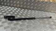 Heckklappe Gasdruckfeder links CITROËN C4 CACTUS 1.2 THP 110 9813913880
