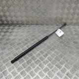 Heckklappe Gasdruckfeder rechts VW TRANSPORTER VI (T6) Furgon (SGA, SGH) 2.0 TDI 7E0827550B