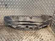 Anzeigetafel Rahmen LEXUS IS II (GSE2_, ALE2_, USE2_) 250 (GSE20) 53295-53010