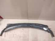 Grill Windlauf Hyundai Santa Fe II (CM)