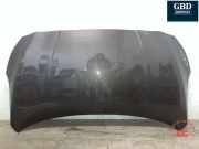 Motorhaube Nissan Leaf (ZE0) F51005SHMA