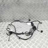 Türverkabelung hinten rechts BMW X7 (G07) xDrive 40 i Mild Hydrid 5A47913