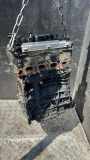Motor VW GOLF VIII (CD1) 2.0 TDI GTD DSU