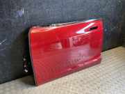 Tür links vorne Tesla Model S (5YJS)