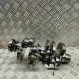 Kurbelwelle AUDI A6 Avant (4F5, C6) 3.0 TDI quattro 059105101BC