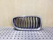 Vorderer oberer Gitter BMW 5 (F10) 520 d 7336478 7340320