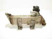 AGR-Kühler NISSAN X-TRAIL (T31) 2.0 dCi h8200620695 8200719993a