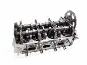 Motorkopf AUDI Q5 (8R) 3.0 TDI quattro 059109129AG