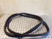 Dichtungsgummi der hinteren Tür (an der Karosserie) CITROËN C4 Grand Picasso II 2.0 BlueHDi 150