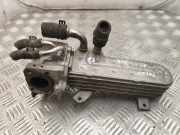 Abgaskühler VW Passat B6 (3C2) 038131513AD