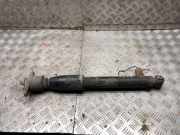 Stoßdämpfer hinten links AUDI A6 (4B2, C5) 2.5 TDI 4B0616025C