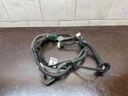 Türverkabelung hinten links RENAULT KOLEOS II 2.0 dCi 175 4WD 17091105