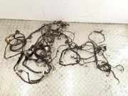 Kabelbaum LANCIA MUSA (350_) 1.3 D Multijet 51841567