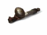 pneumatischer Stoßdämpfer hinten links