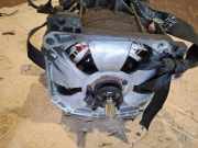 Motor RENAULT ZOE (BFM_) ZOE 290V71975R