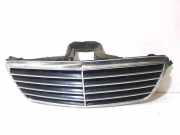 Vorderer oberer Gitter MERCEDES-BENZ E (W210) E 220 CDI (210.006) 2108800683