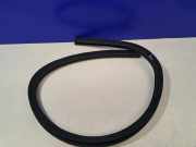 Türdichtungsgummi vorne links JAGUAR F-TYPE Coupe (X152) 3.0 S EX53-20708-A