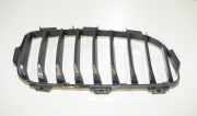 Gitter Grill vorne rechts