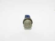 Temperatursensor AUDI A4 (8D2, B5) 1.9 TDI 8D09594818B