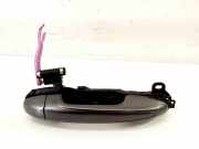 Türgriff rechts hinten Toyota RAV 4 IV (A4)