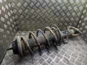 Stoßdämpfer vorne links VW MULTIVAN V (7HM, 7HN, 7HF, 7EF, 7EM, 7EN) 2.5 TDI