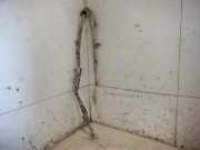 Dach SRS rechts MAZDA 6 Sedan (GG) 2.0 DI