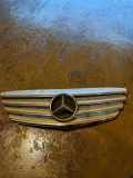 Vorderer oberer Gitter MERCEDES-BENZ B (W245) B 150 (245.231) A1698800783