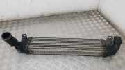 Ladeluftkühler FORD FOCUS II (DA_, HCP) 1.8 TDCi 3M5H9L440AE