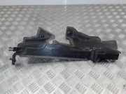 Anzeigetafel Rahmen RENAULT MEGANE III Hatchback (BZ0_) 1.5 dCi (BZ09, BZ0D) 214994320R