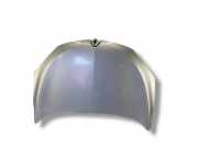 Motorhaube RENAULT MEGANE III Hatchback (BZ0_) 1.6 dCi (BZ00, BZ12) 0745