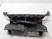 Ziergitter Toyota Proace Kasten (MDZ) 9808490780