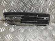 Gitter vorne unten AUDI A4 Avant (8D5, B5) 1.9 TDI 8D0807346